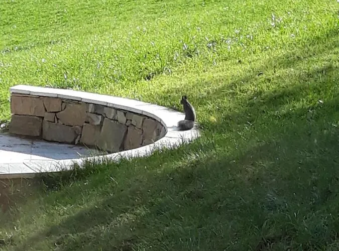 Ferienhaus Weiberle Hochschwab Etmissl